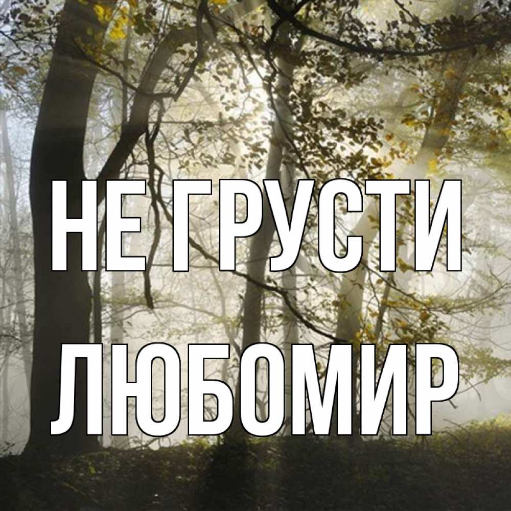 Открытка на каждый день с именем, Любомир Не грусти лес и свет Прикольная открытка с пожеланием онлайн скачать бесплатно 
