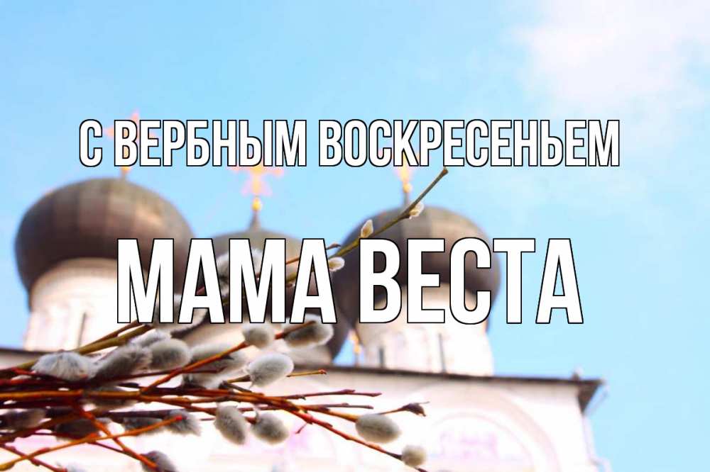 Открытка на каждый день с именем, Мама-Веста С вербным воскресеньем верба Прикольная открытка с пожеланием онлайн скачать бесплатно 