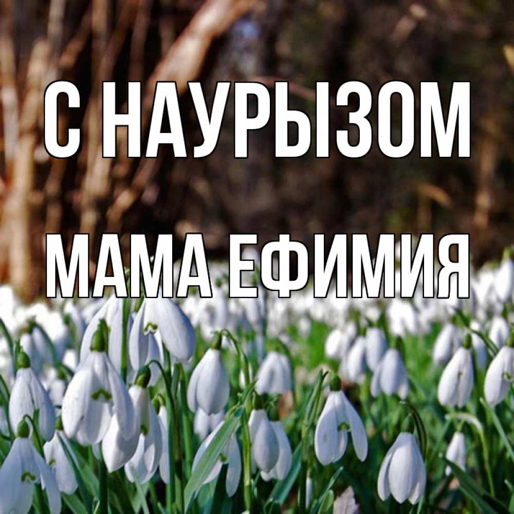 Открытка на каждый день с именем, Мама-Ефимия С наурызом с подснежниками 1 Прикольная открытка с пожеланием онлайн скачать бесплатно 