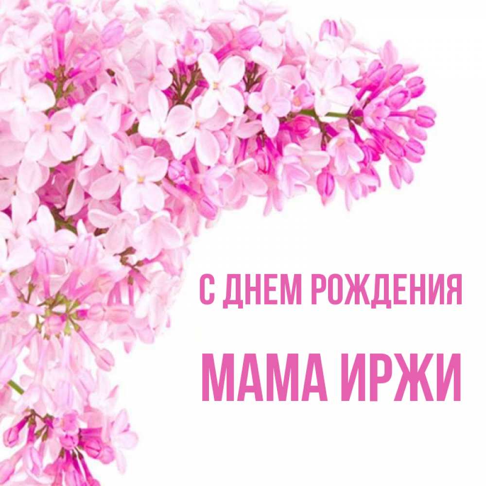 Открытка на каждый день с именем, Мама-Иржи С днем рождения Сирень на белом фоне Прикольная открытка с пожеланием онлайн скачать бесплатно 