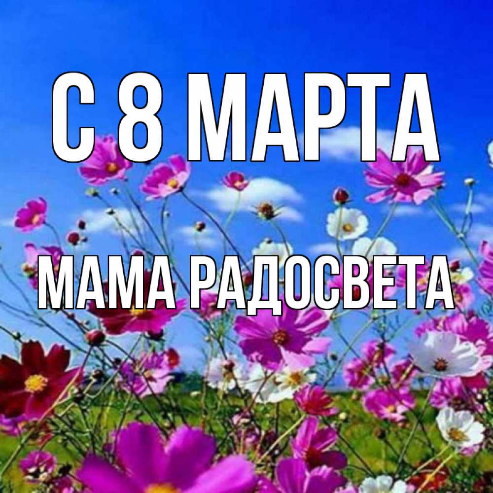 Открытка на каждый день с именем, Мама-Радосвета С 8 марта цветы Прикольная открытка с пожеланием онлайн скачать бесплатно 