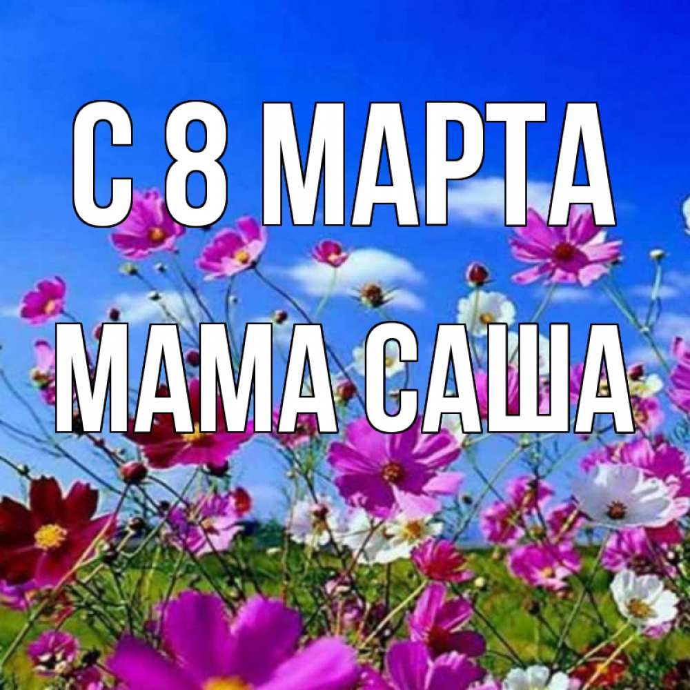 Открытка на каждый день с именем, Мама-Саша С 8 МАРТА цветы Прикольная открытка с пожеланием онлайн скачать бесплатно 