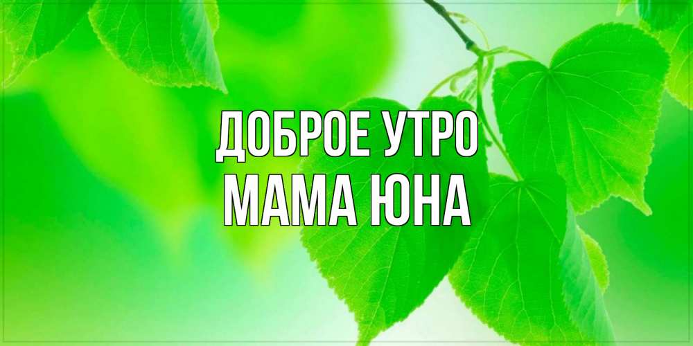Открытка на каждый день с именем, Мама-Юна Доброе утро доброе утро с березовыми листьями Прикольная открытка с пожеланием онлайн скачать бесплатно 