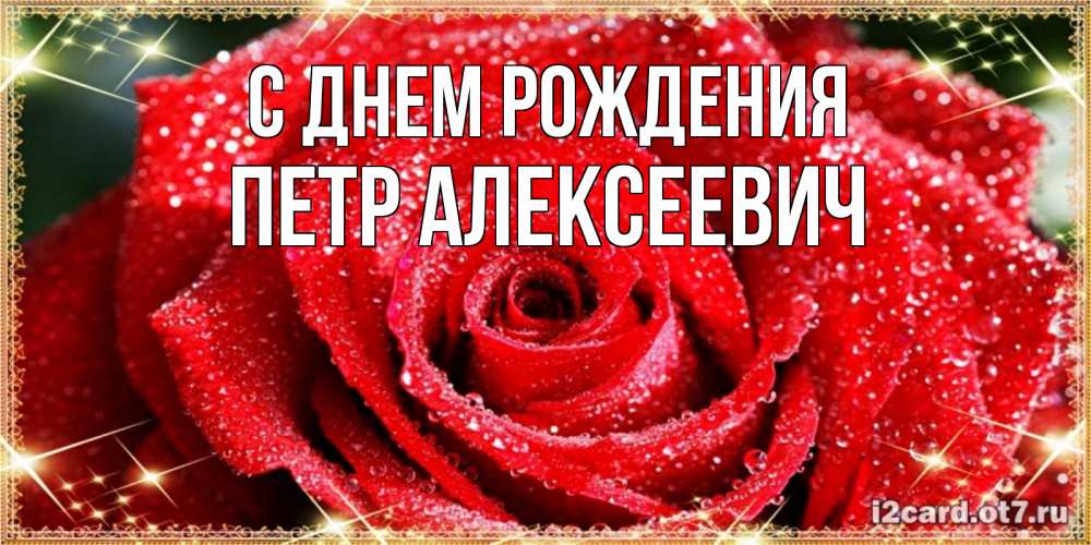Открытка на каждый день с именем, Петр-Алексеевич С днем рождения роса и роза. открытка с красивой розой Прикольная открытка с пожеланием онлайн скачать бесплатно 