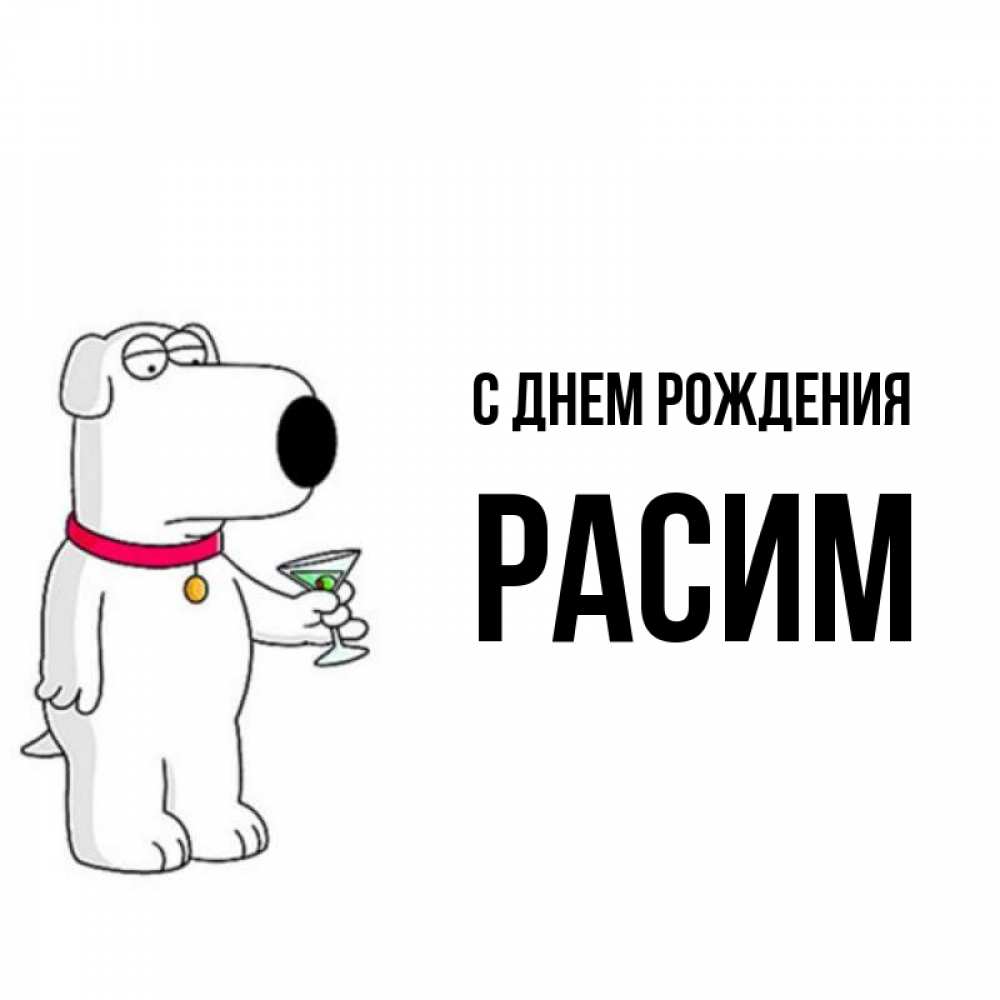 Открытка на каждый день с именем, Расим С днем рождения песик с оливками Прикольная открытка с пожеланием онлайн скачать бесплатно 