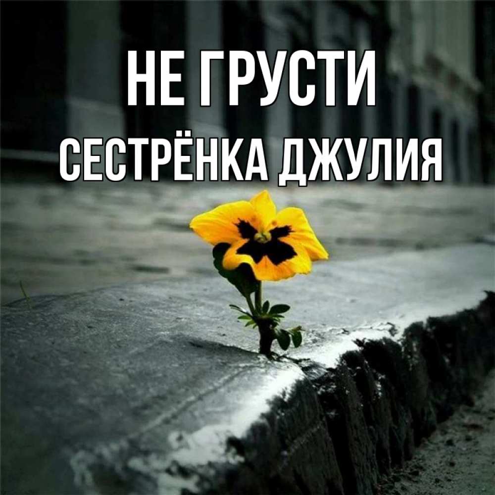 Открытка на каждый день с именем, Сестрёнка-Джулия Не грусти не сдавайся Прикольная открытка с пожеланием онлайн скачать бесплатно 