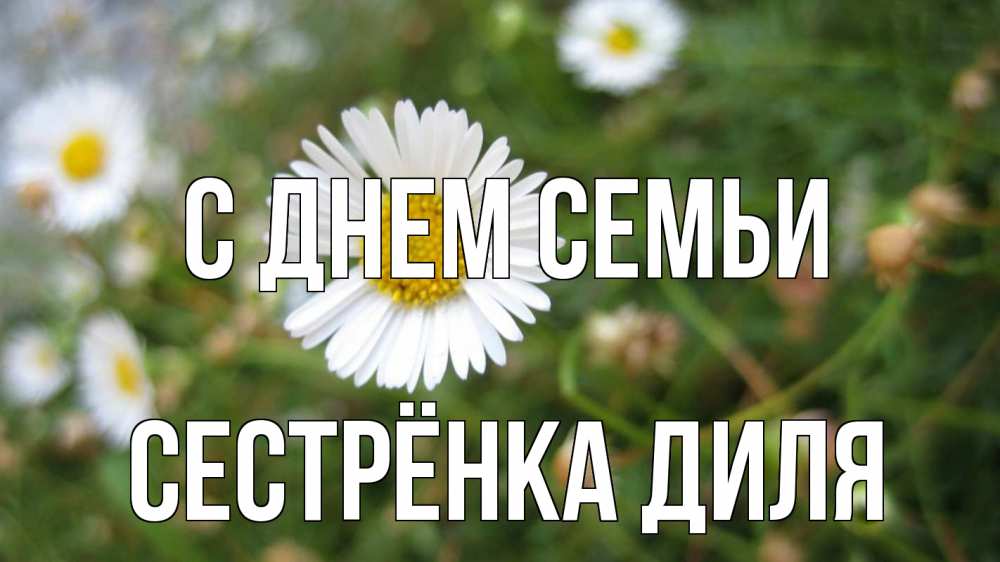 Открытка на каждый день с именем, Сестрёнка-Диля С днем семьи с днем семьи Прикольная открытка с пожеланием онлайн скачать бесплатно 