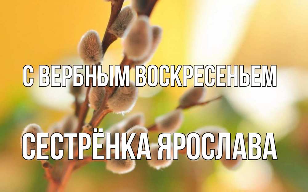 Открытка на каждый день с именем, Сестрёнка-Ярослава С вербным воскресеньем верба Прикольная открытка с пожеланием онлайн скачать бесплатно 