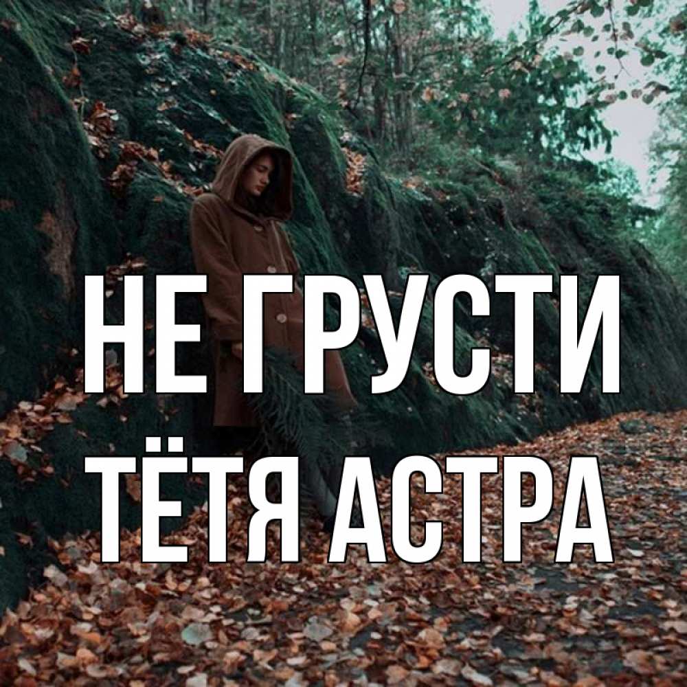 Открытка на каждый день с именем, Тётя-Астра Не грусти осенний лес Прикольная открытка с пожеланием онлайн скачать бесплатно 