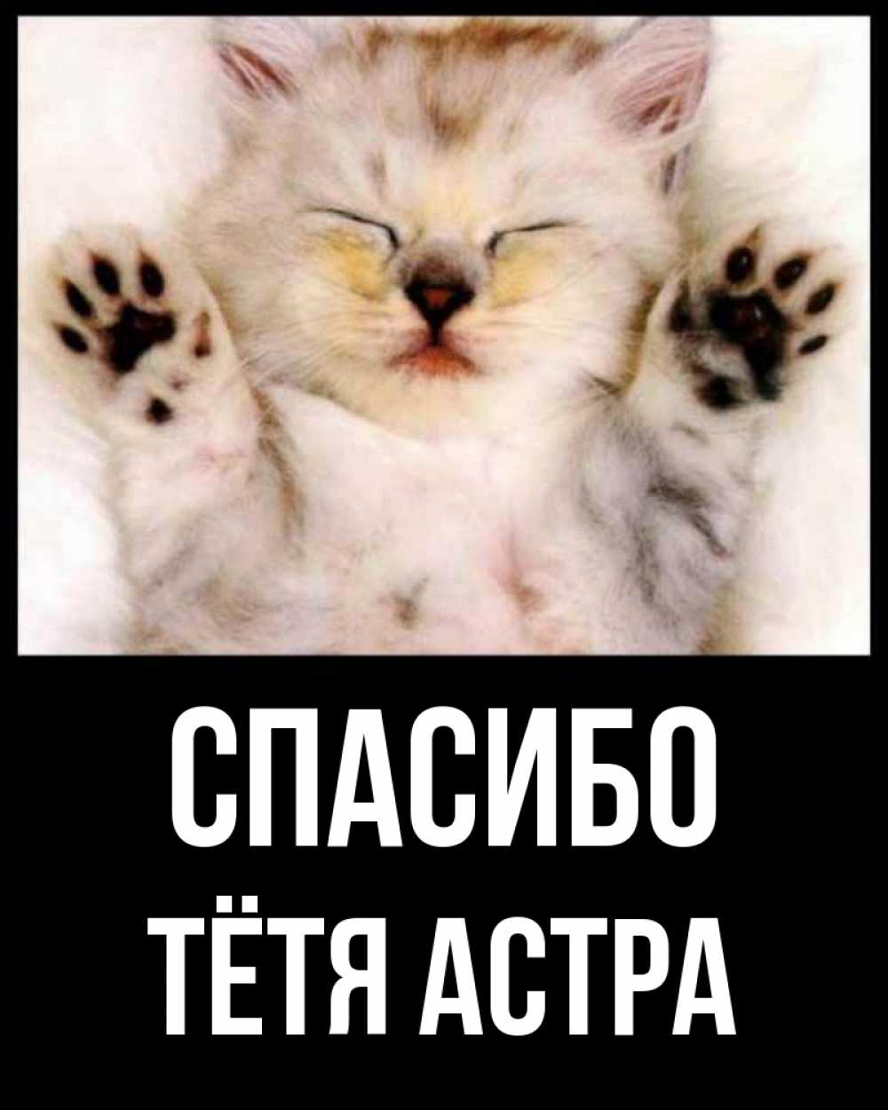 Открытка на каждый день с именем, Тётя-Астра Спасибо маленький котенок Прикольная открытка с пожеланием онлайн скачать бесплатно 