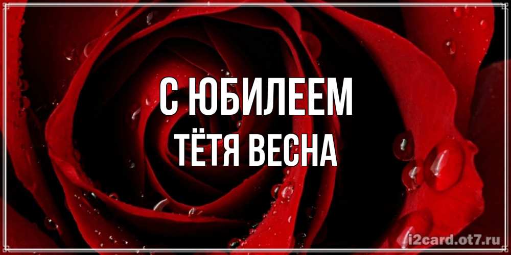 Открытка на каждый день с именем, Тётя-Весна С юбилеем крупная бордовая роза Прикольная открытка с пожеланием онлайн скачать бесплатно 