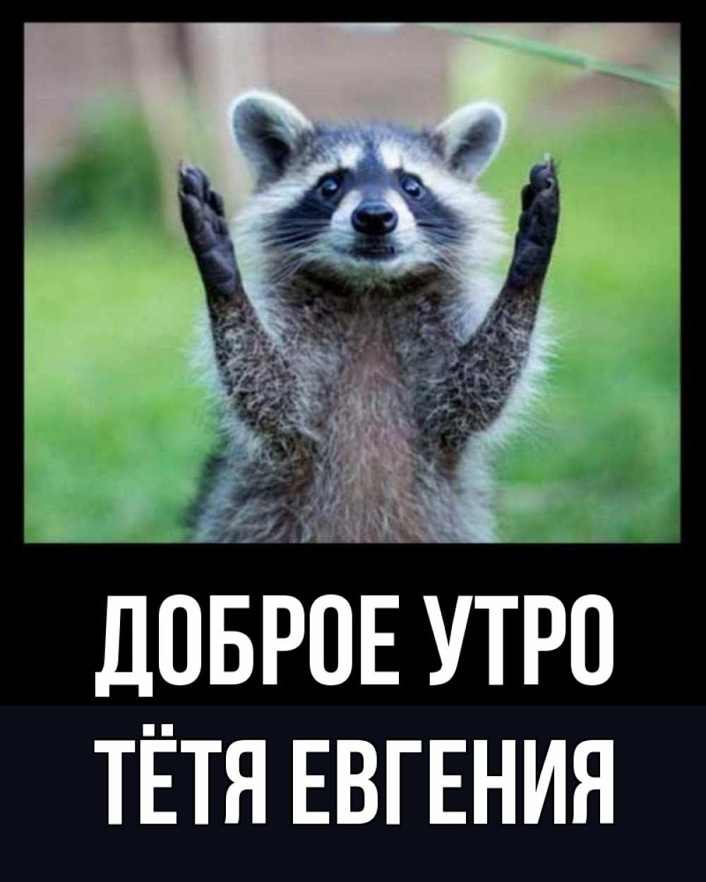 Открытка на каждый день с именем, Тётя-Евгения Доброе утро хорошее настроение утречком Прикольная открытка с пожеланием онлайн скачать бесплатно 