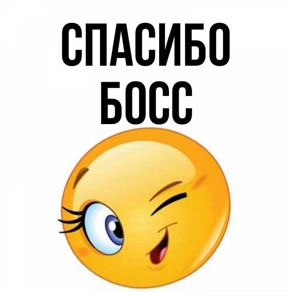 Спасибо босс картинки