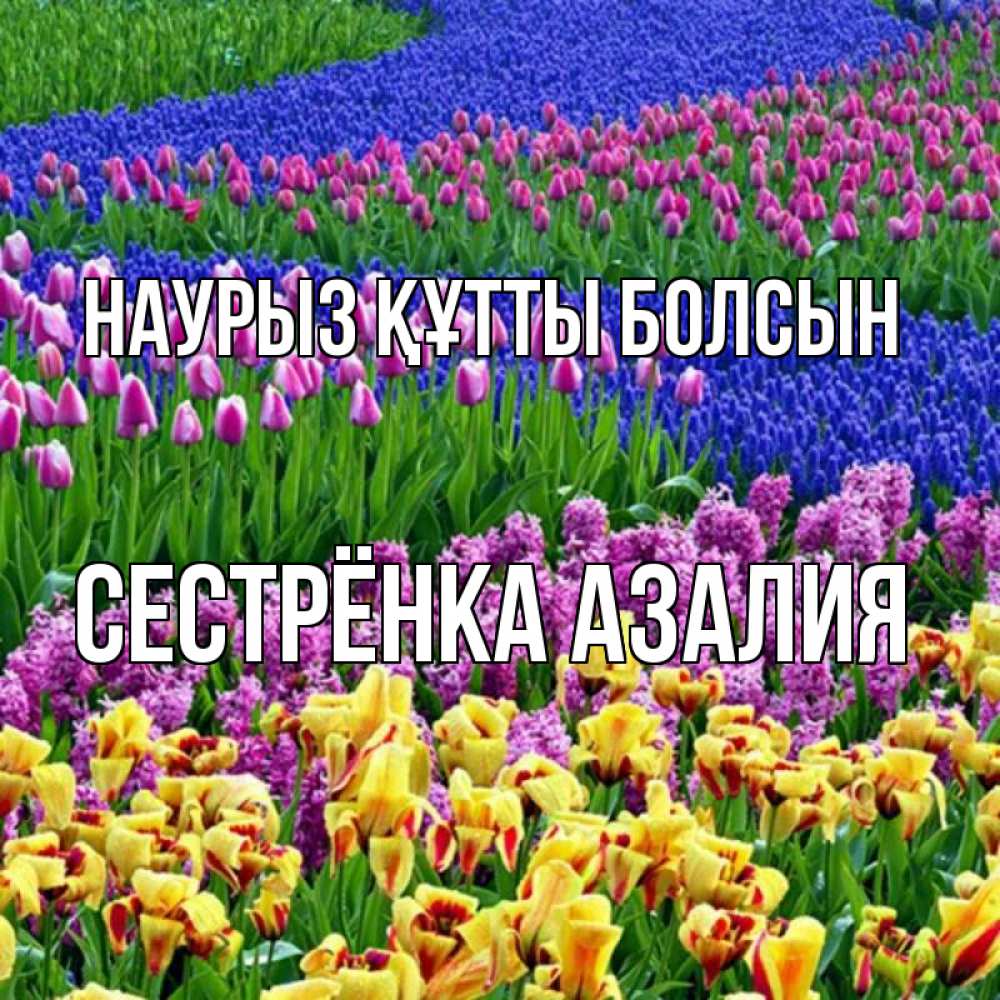 Открытка на каждый день с именем, Сестрёнка-Азалия Наурыз құтты болсын цветы Прикольная открытка с пожеланием онлайн скачать бесплатно 