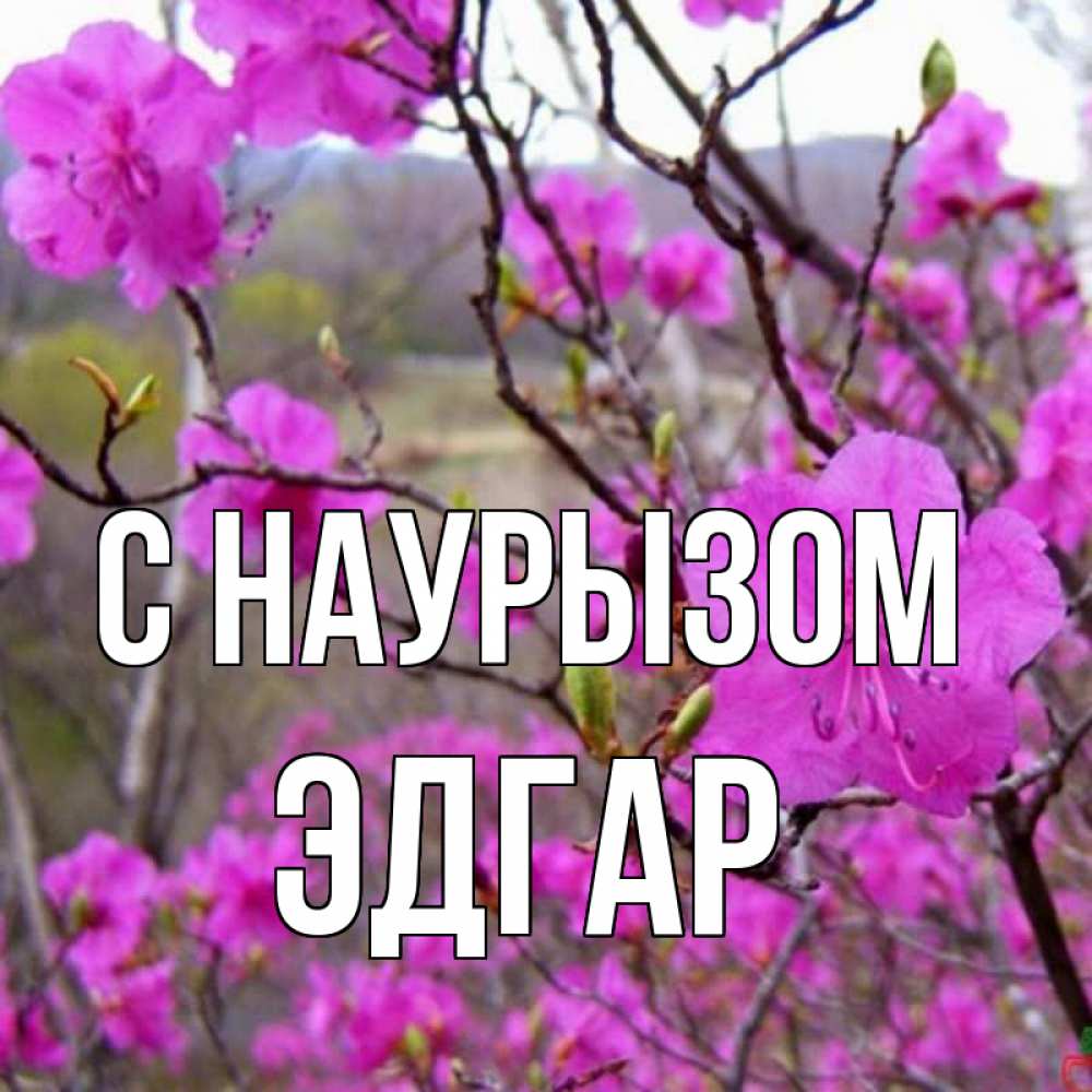 Открытка на каждый день с именем, Эдгар С наурызом праздник весны наурыз Прикольная открытка с пожеланием онлайн скачать бесплатно 