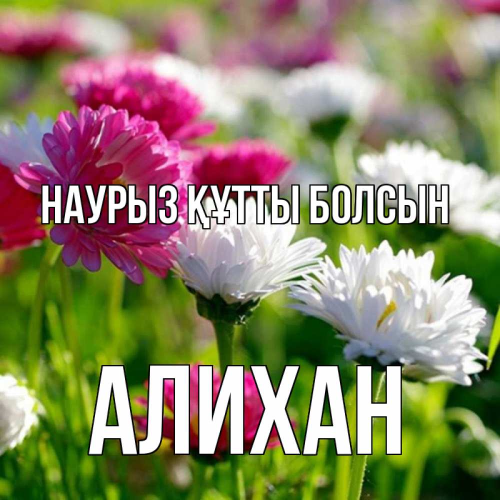 Открытка на каждый день с именем, Алихан Наурыз құтты болсын наурыз Прикольная открытка с пожеланием онлайн скачать бесплатно 