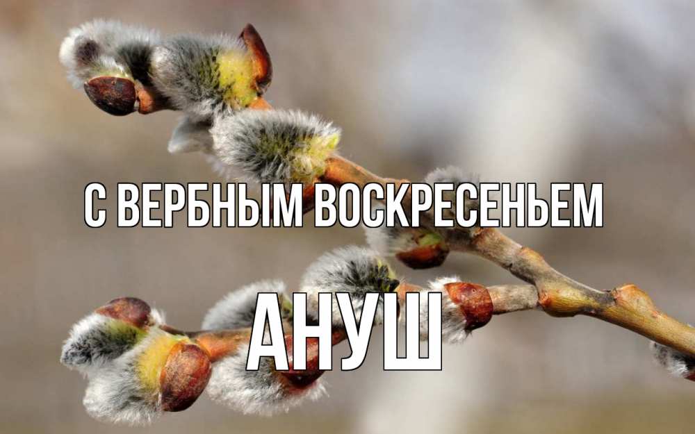 Открытка на каждый день с именем, Ануш С вербным воскресеньем Верба Прикольная открытка с пожеланием онлайн скачать бесплатно 
