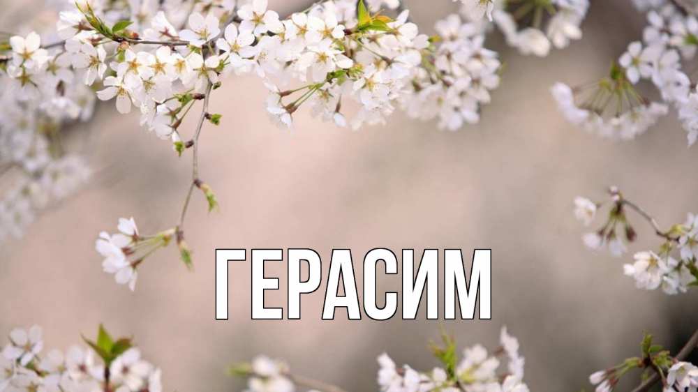 Открытка на каждый день с именем, Герасим Главная С 1 мая Прикольная открытка с пожеланием онлайн скачать бесплатно 