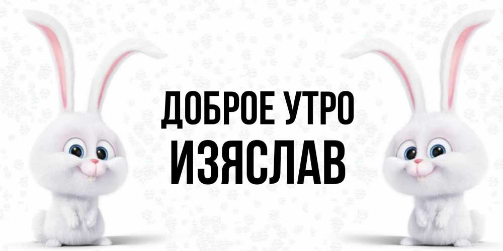 Открытка на каждый день с именем, Изяслав Доброе утро кролики с длинными ушками Прикольная открытка с пожеланием онлайн скачать бесплатно 