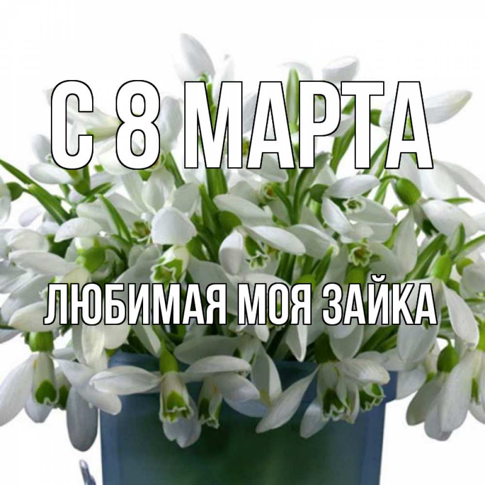 Открытка на каждый день с именем, Любимая-моя-зайка С 8 марта цветы к международному женскому дню Прикольная открытка с пожеланием онлайн скачать бесплатно 