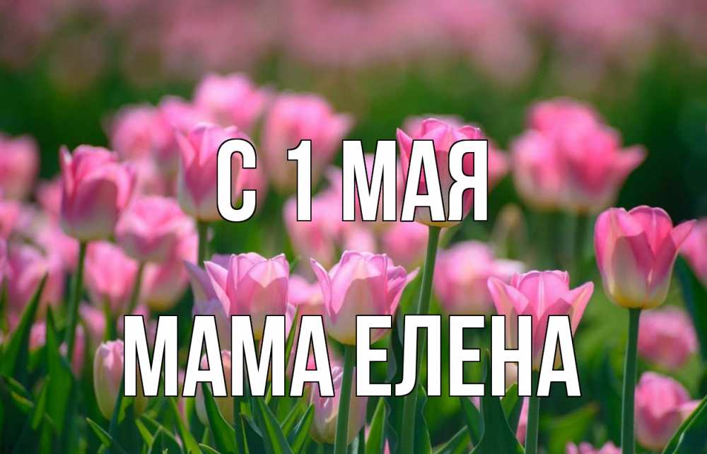 Открытка на каждый день с именем, Мама-Елена С 1 мая С 1 мая Прикольная открытка с пожеланием онлайн скачать бесплатно 