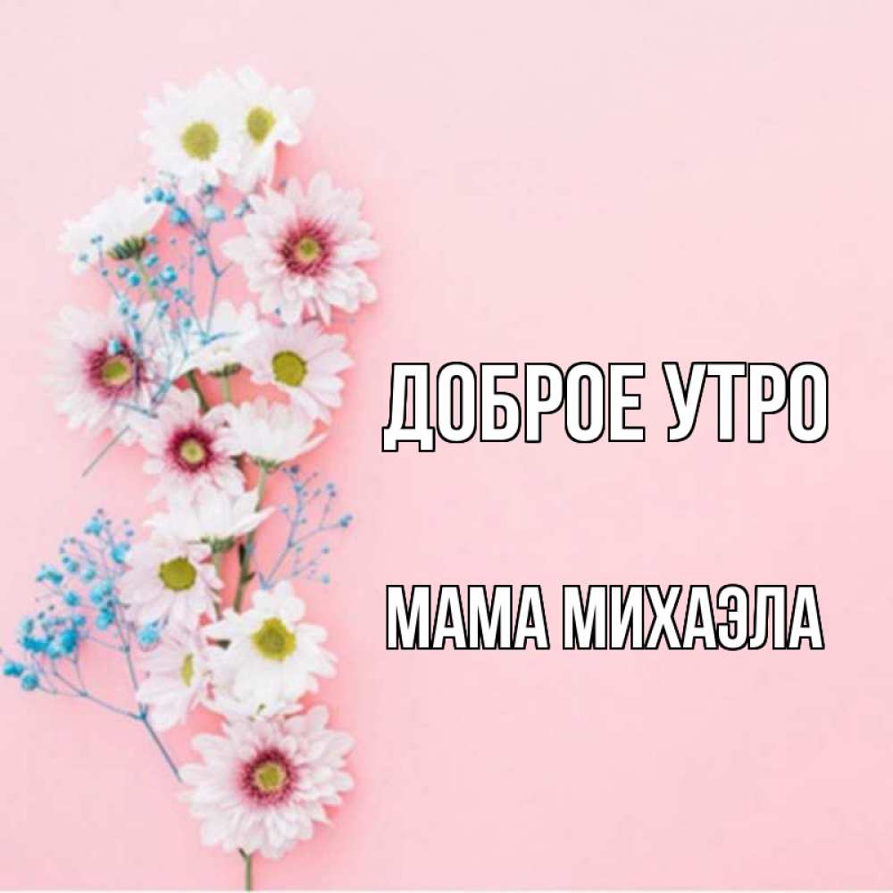 Открытка на каждый день с именем, Мама-Михаэла Доброе утро цветы с подписью Прикольная открытка с пожеланием онлайн скачать бесплатно 