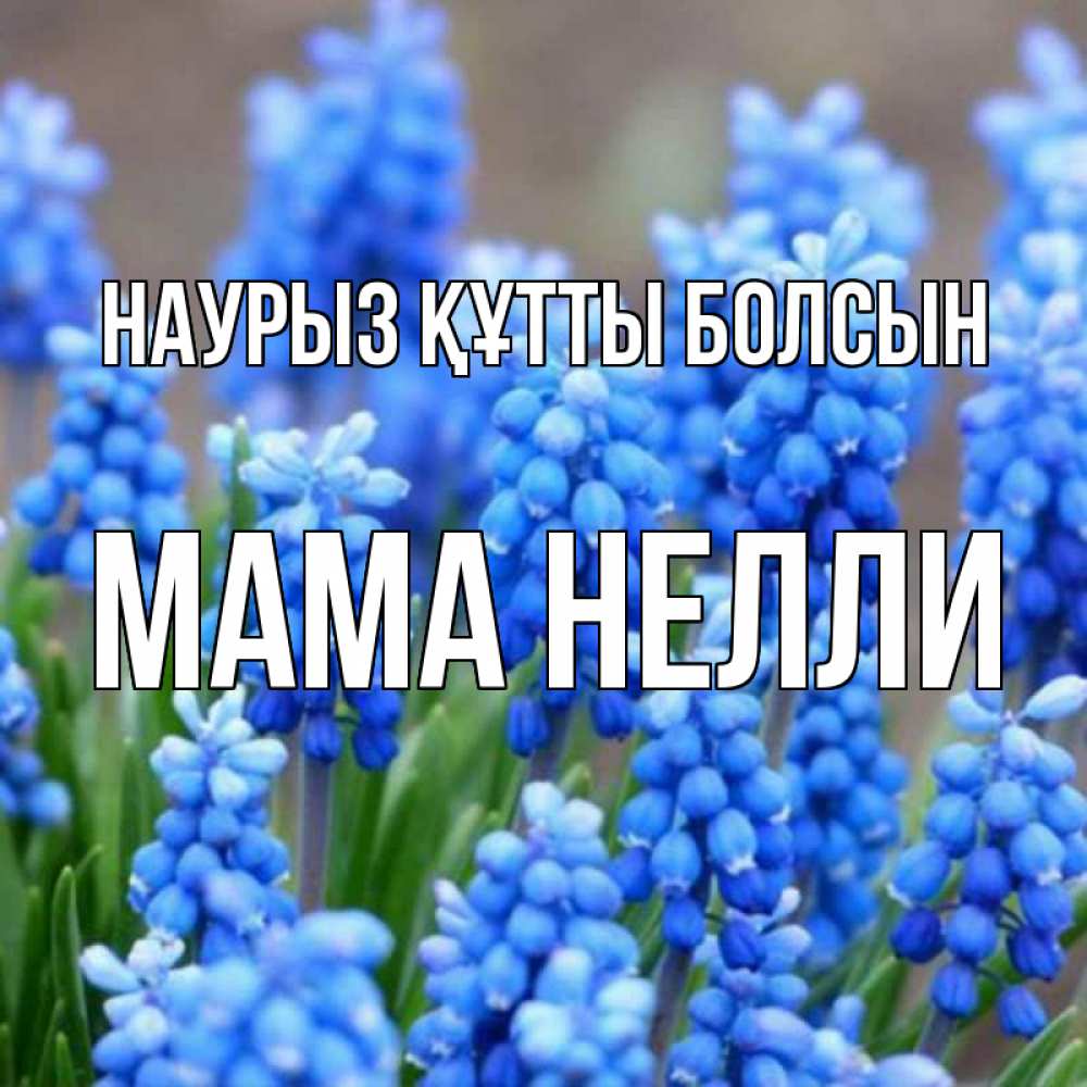 Открытка на каждый день с именем, Мама-Нелли Наурыз құтты болсын Поздравительная открытка для женщин с цветами на праздничную дату Прикольная открытка с пожеланием онлайн скачать бесплатно 