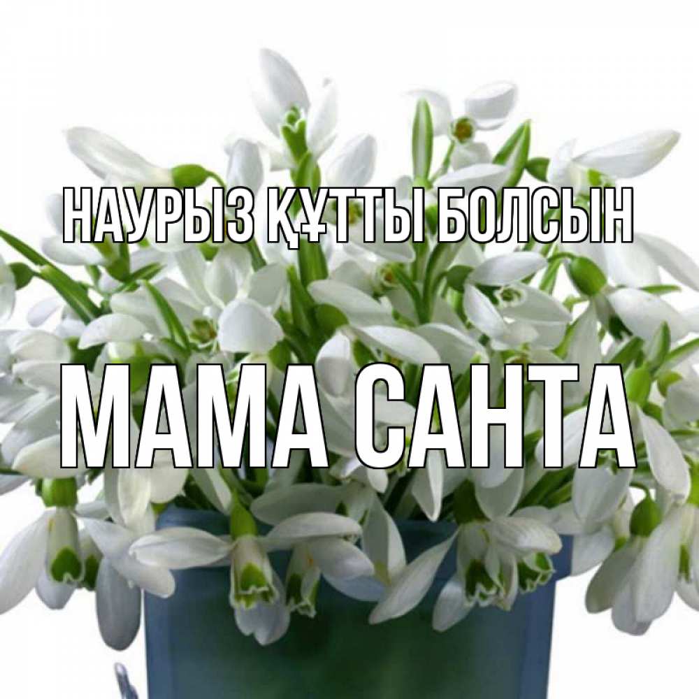 Открытка на каждый день с именем, Мама-Санта Наурыз құтты болсын цветы к наурызу Прикольная открытка с пожеланием онлайн скачать бесплатно 