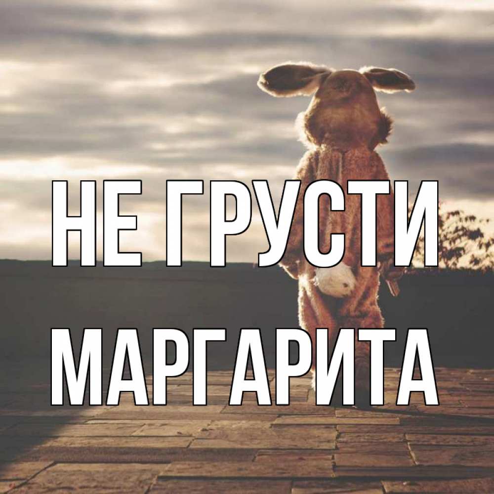 Открытка на каждый день с именем, Маргарита Не грусти со спины Прикольная открытка с пожеланием онлайн скачать бесплатно 