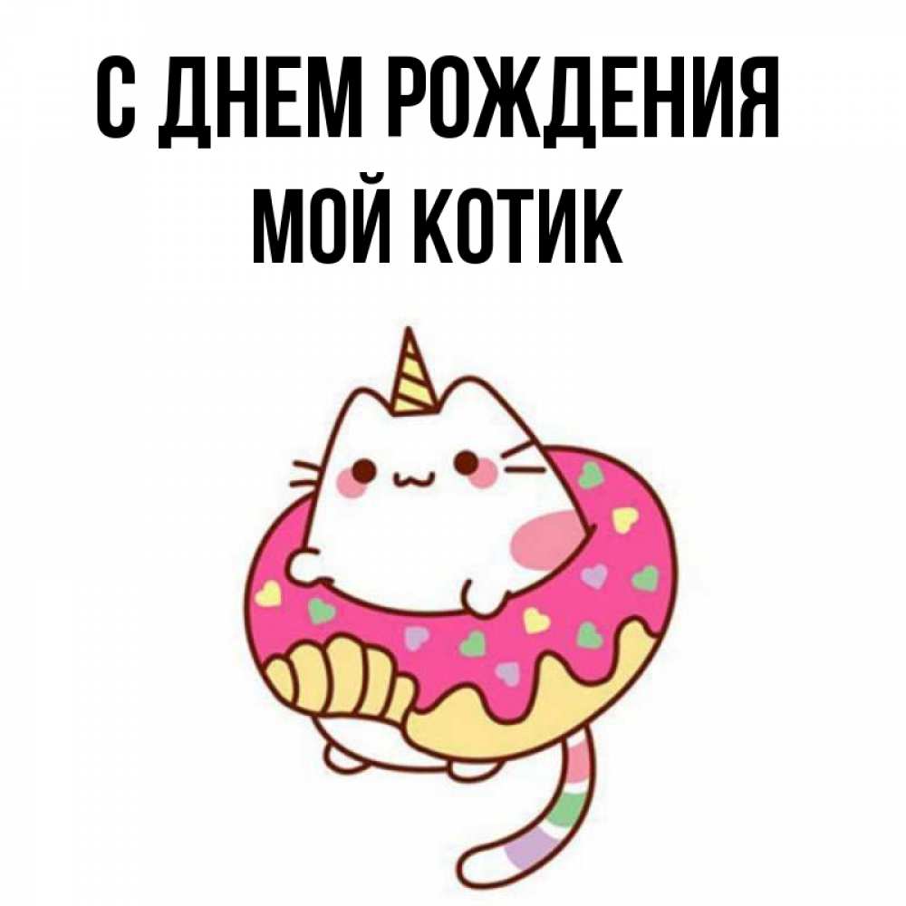 Открытка на каждый день с именем, Мой-Котик С днем рождения меньше надо жрать Прикольная открытка с пожеланием онлайн скачать бесплатно 
