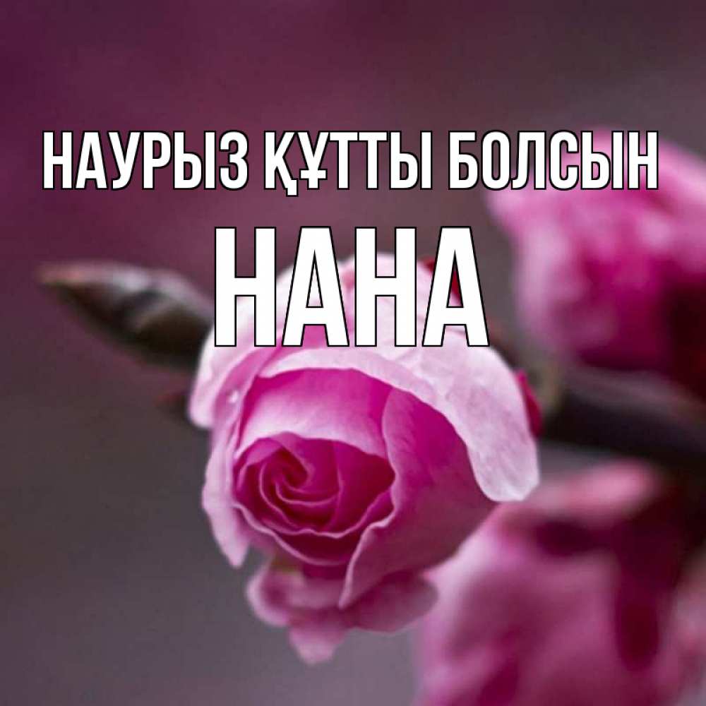 Открытка на каждый день с именем, Нана Наурыз құтты болсын весна Прикольная открытка с пожеланием онлайн скачать бесплатно 