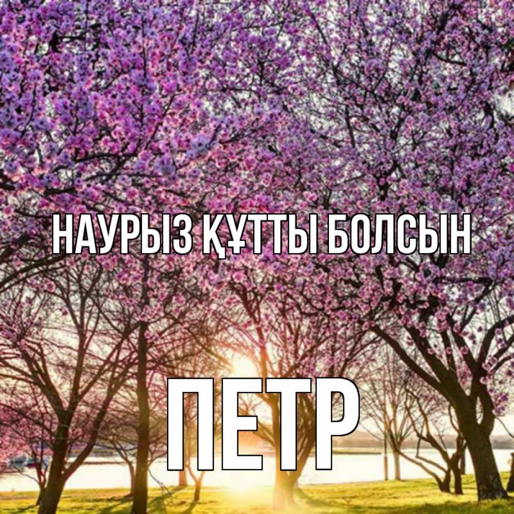 Открытка на каждый день с именем, Петр Наурыз құтты болсын наурыз Прикольная открытка с пожеланием онлайн скачать бесплатно 