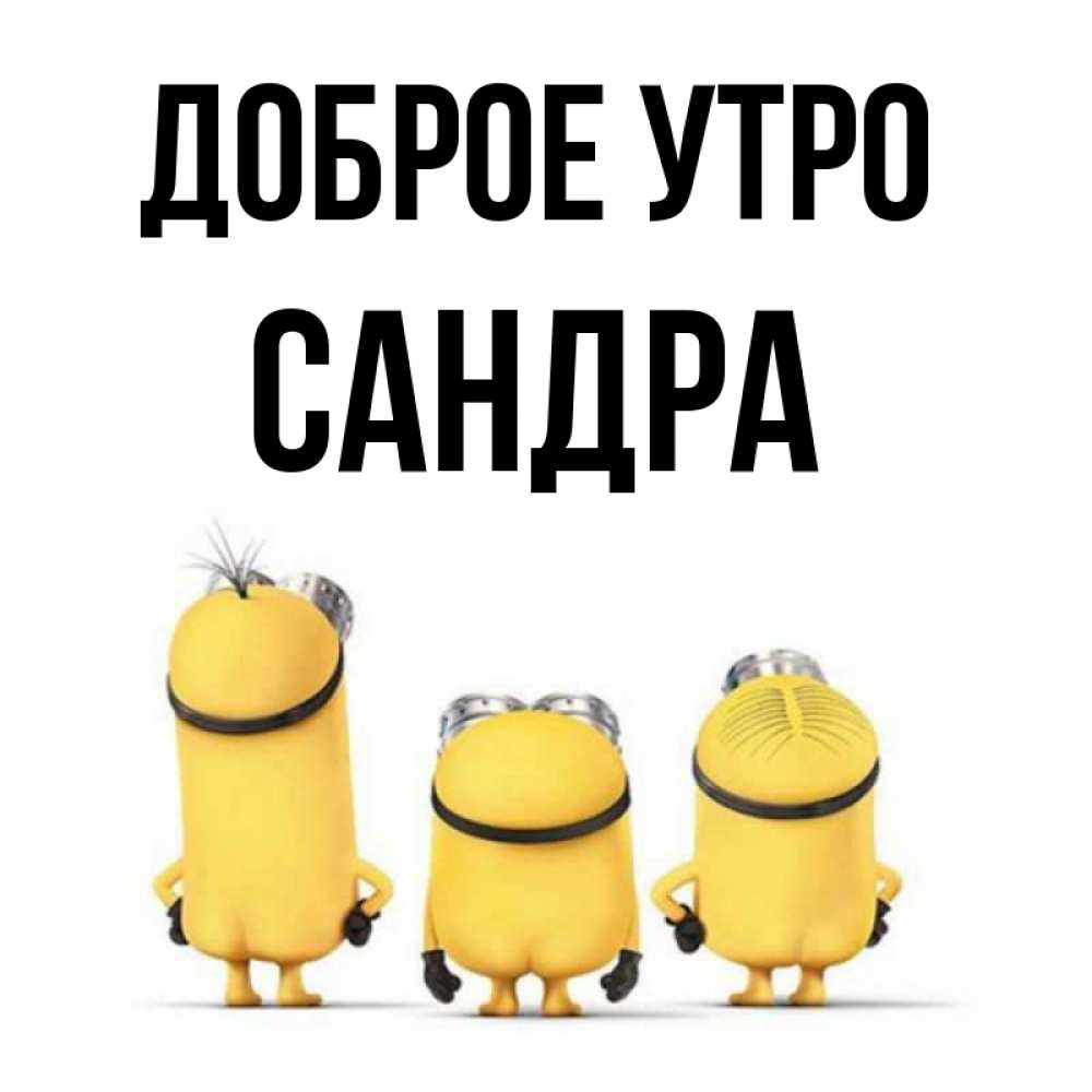 Открытка на каждый день с именем, Сандра Доброе утро подписать открытку онлайн бесплатно Прикольная открытка с пожеланием онлайн скачать бесплатно 