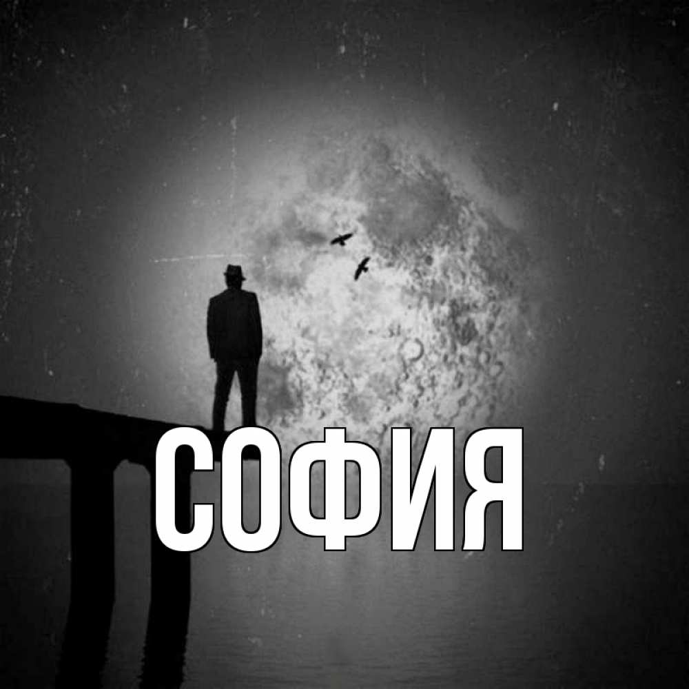 Открытка на каждый день с именем, София Главная мост 1 Прикольная открытка с пожеланием онлайн скачать бесплатно 