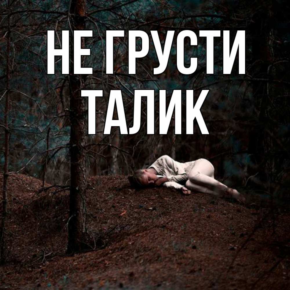 Открытка на каждый день с именем, Талик Не грусти лес Прикольная открытка с пожеланием онлайн скачать бесплатно 