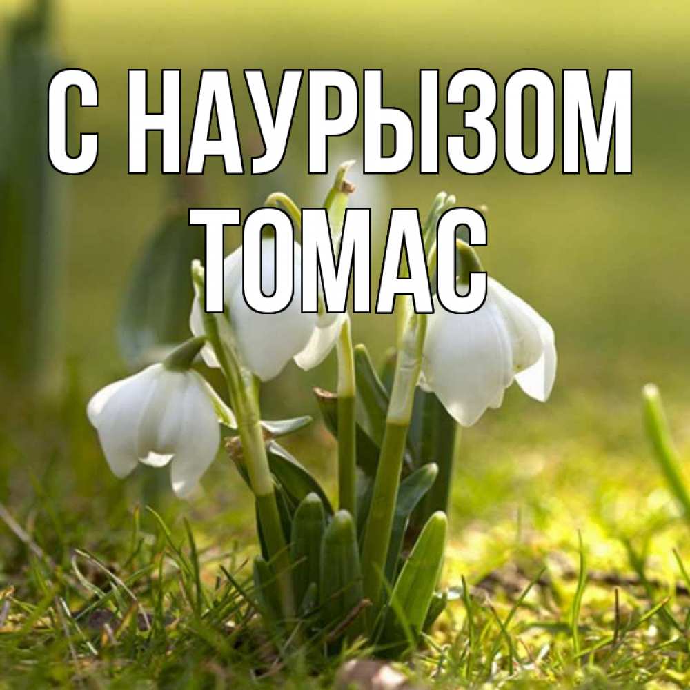 Открытка на каждый день с именем, Томас С наурызом ранние цветы 2 Прикольная открытка с пожеланием онлайн скачать бесплатно 