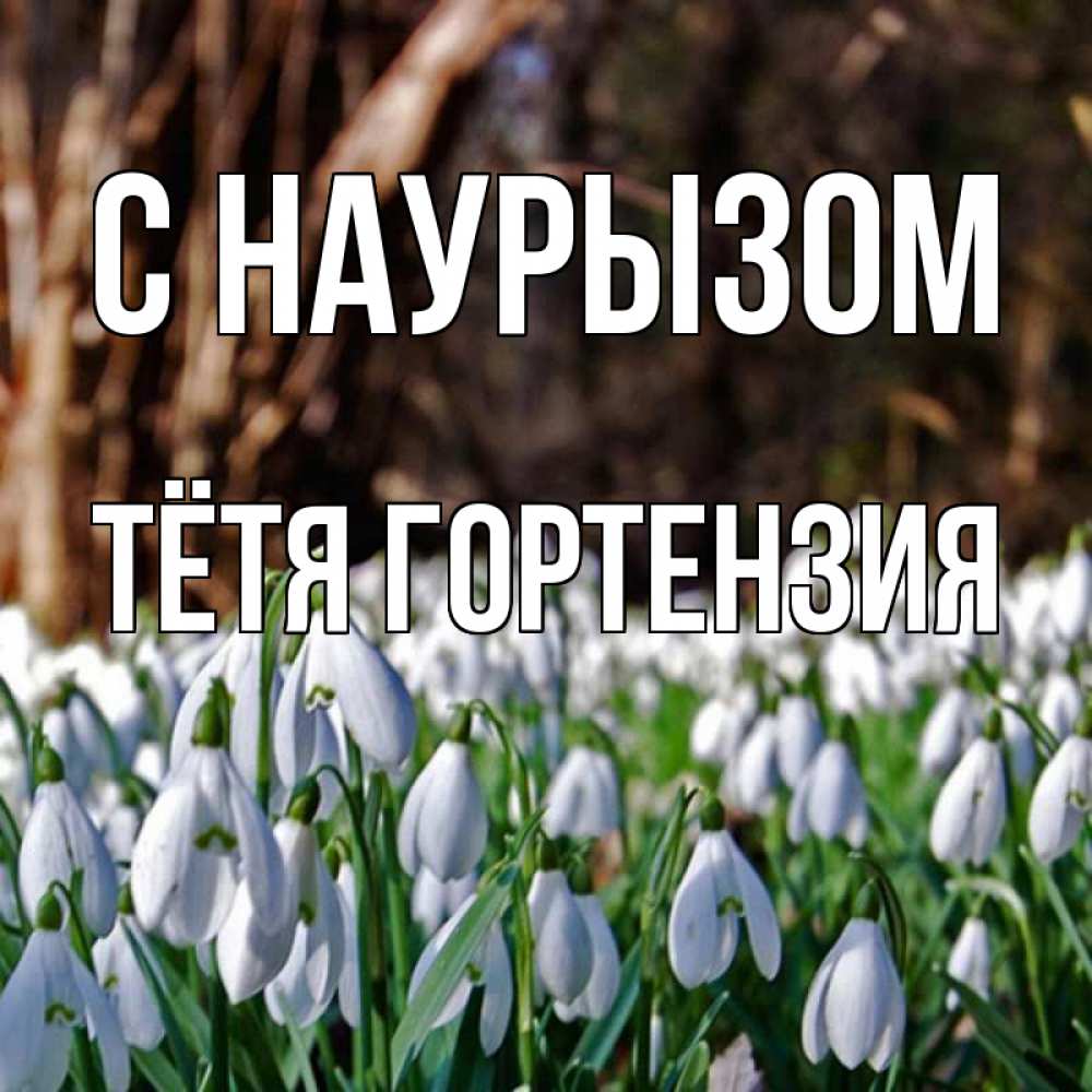 Открытка на каждый день с именем, Тётя-Гортензия С наурызом с подснежниками 1 Прикольная открытка с пожеланием онлайн скачать бесплатно 