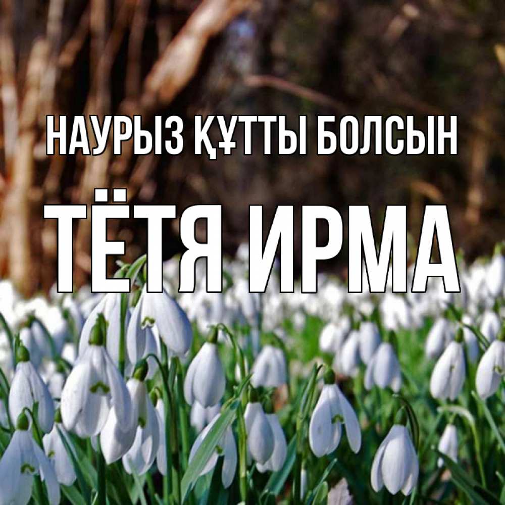 Открытка на каждый день с именем, Тётя-Ирма Наурыз құтты болсын с подснежниками 1 Прикольная открытка с пожеланием онлайн скачать бесплатно 