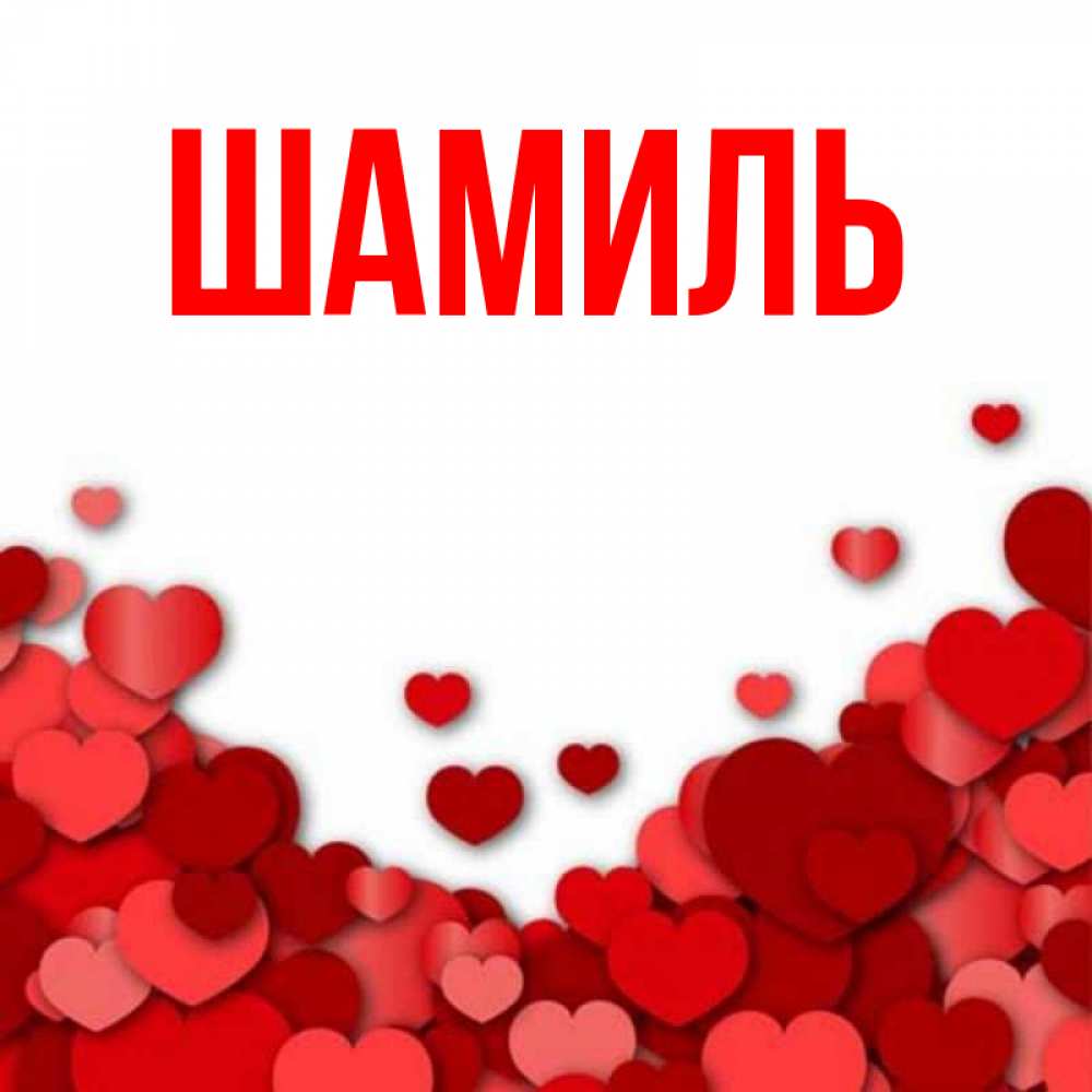 Открытка на каждый день с именем, Шамиль Главная много красных сердечек о любви Прикольная открытка с пожеланием онлайн скачать бесплатно 