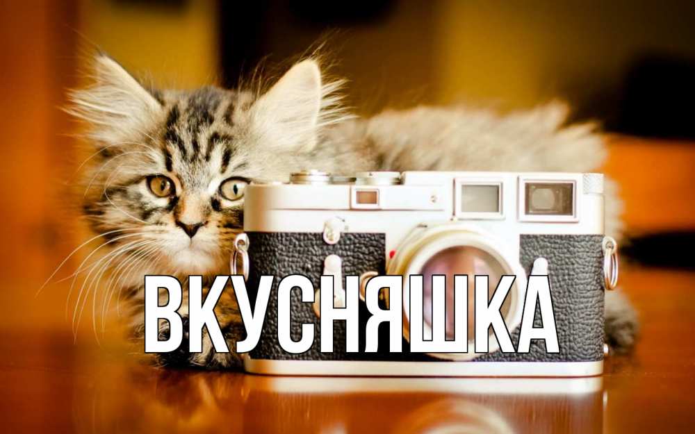 Открытка на каждый день с именем, Вкусняшка Главная с днем фотографа Прикольная открытка с пожеланием онлайн скачать бесплатно 