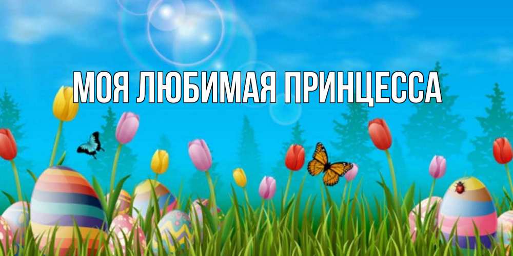 Открытка на каждый день с именем, Моя-Любимая-Принцесса Главная небо и тюльпаны с бабочкой Прикольная открытка с пожеланием онлайн скачать бесплатно 