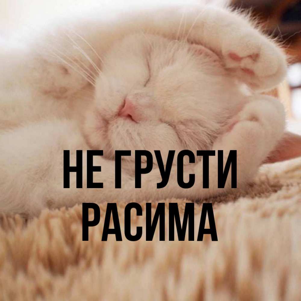Не грусти милая картинка