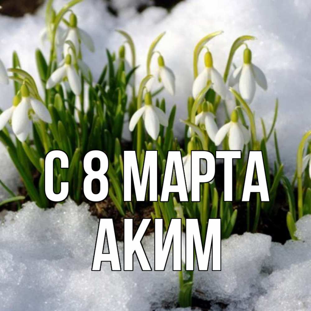 Открытка на каждый день с именем, Аким С 8 МАРТА цветы весенние Прикольная открытка с пожеланием онлайн скачать бесплатно 
