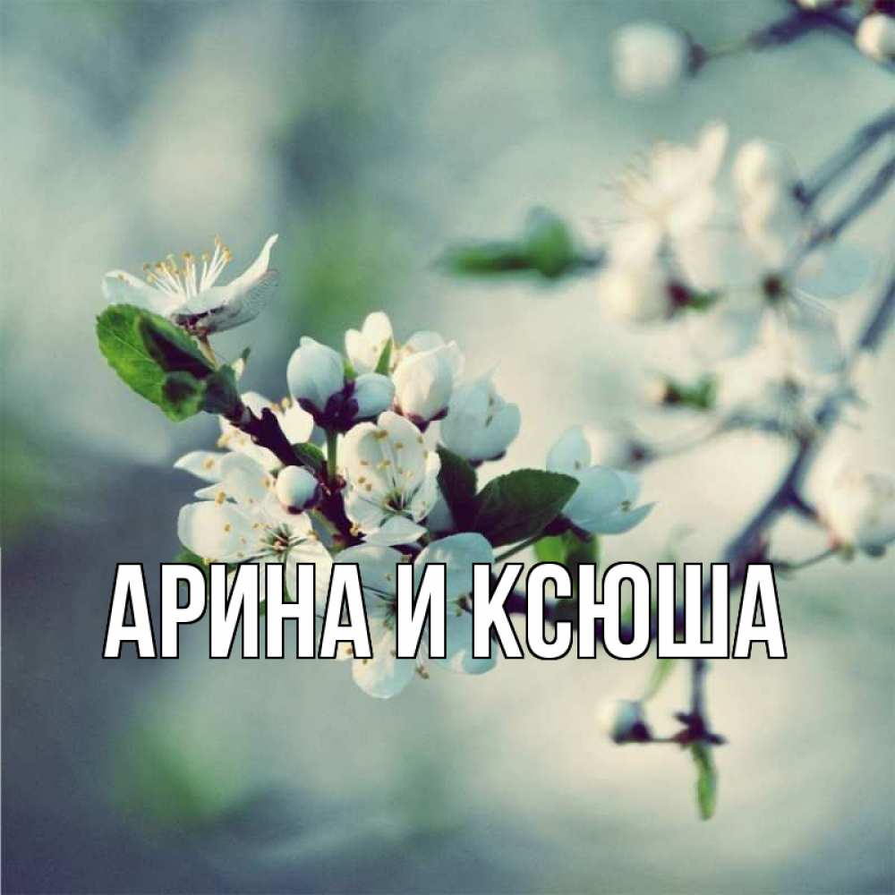Открытка на каждый день с именем, Арина-и-Ксюша Главная весна Прикольная открытка с пожеланием онлайн скачать бесплатно 