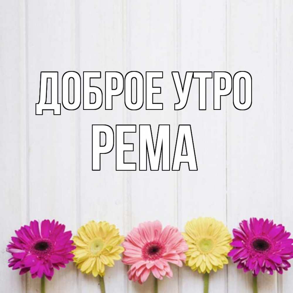 Открытка на каждый день с именем, Рема Доброе утро красный желтый и розовый цветок Прикольная открытка с пожеланием онлайн скачать бесплатно 