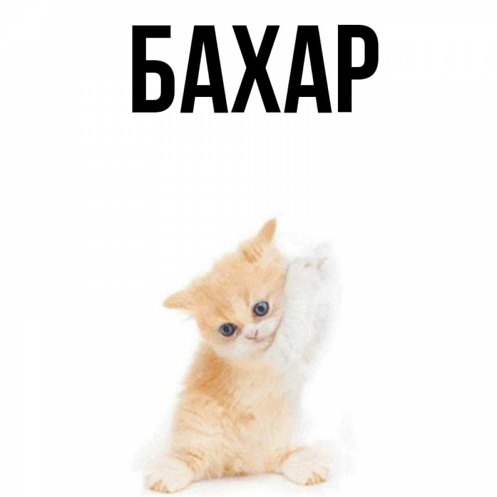 Открытка на каждый день с именем, Бахар Главная я хочу очень скорее обнимаешек Прикольная открытка с пожеланием онлайн скачать бесплатно 