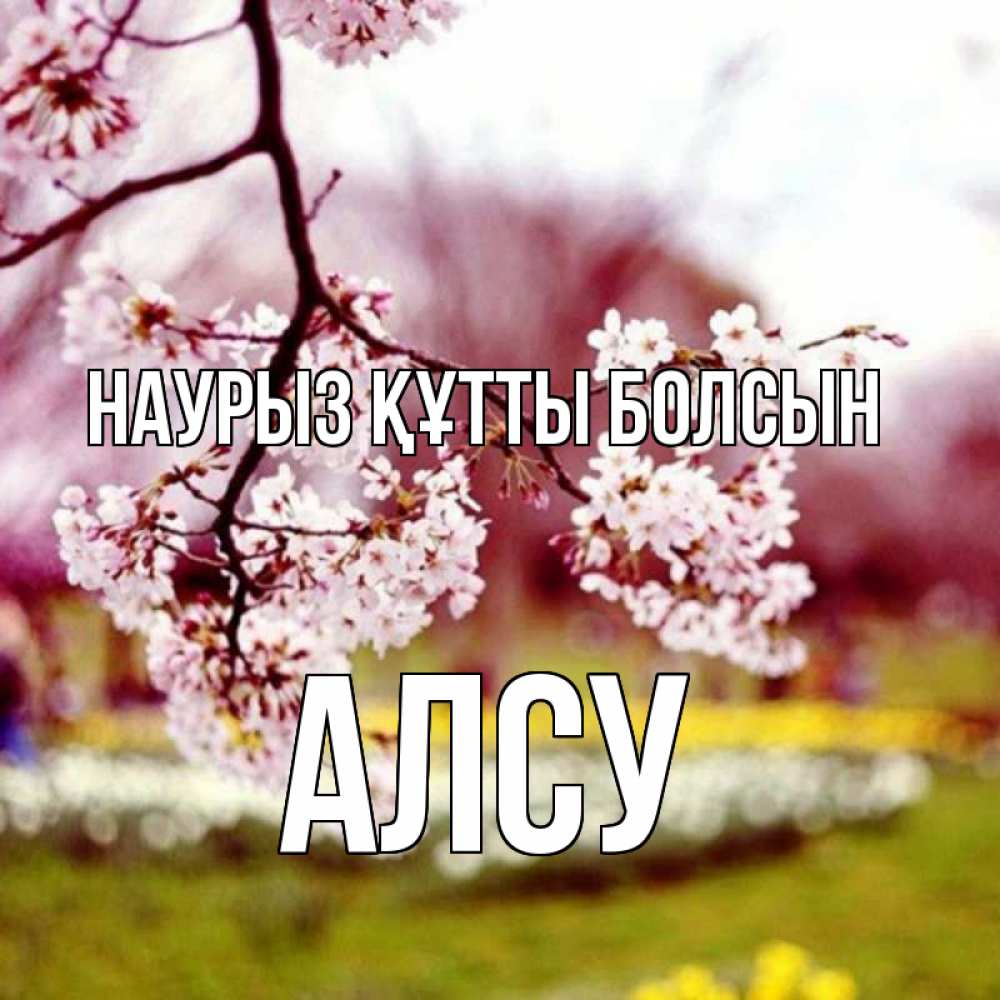 Открытка на каждый день с именем, Алсу Наурыз құтты болсын яблоня Прикольная открытка с пожеланием онлайн скачать бесплатно 
