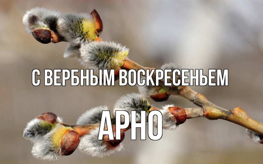 Открытка на каждый день с именем, Арно С вербным воскресеньем Верба Прикольная открытка с пожеланием онлайн скачать бесплатно 