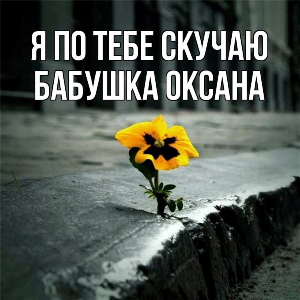 Открытка на каждый день с именем, Бабушка-Оксана Я по тебе скучаю надеюсь будет лучше Прикольная открытка с пожеланием онлайн скачать бесплатно 
