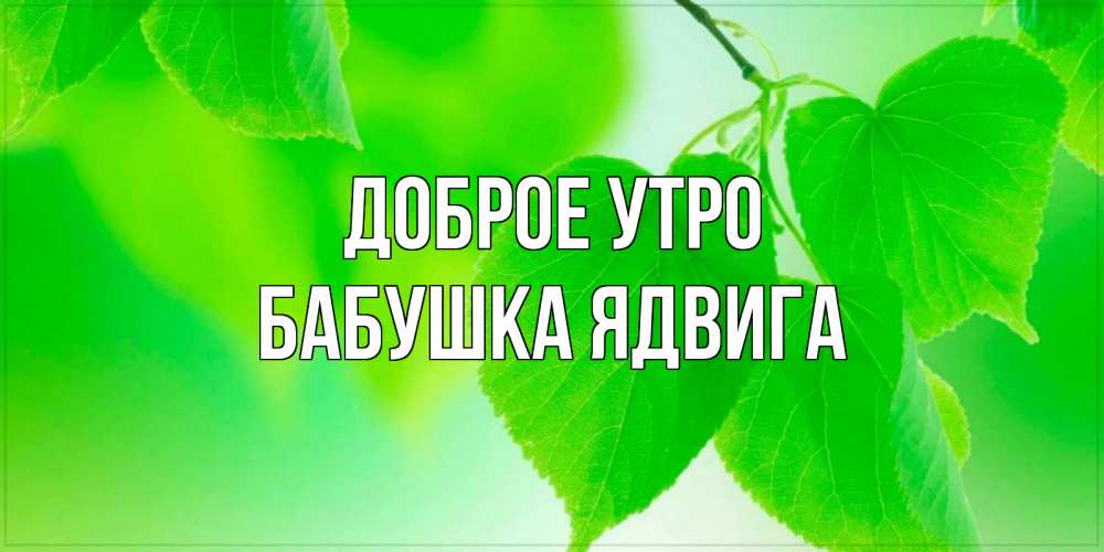 Открытка на каждый день с именем, Бабушка-Ядвига Доброе утро доброе утро с березовыми листьями Прикольная открытка с пожеланием онлайн скачать бесплатно 